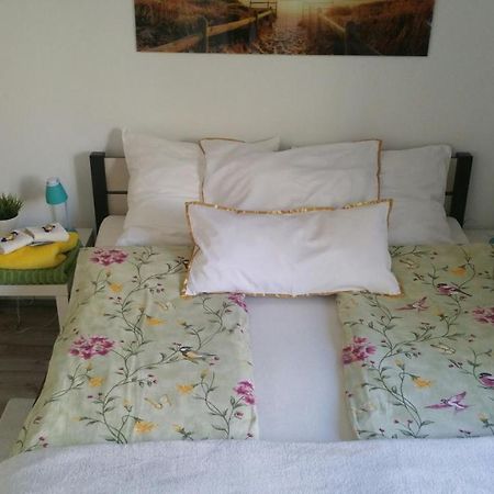 Zacisze Starowki Apartment Torun Bagian luar foto