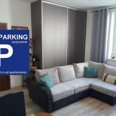 Zacisze Starowki Apartment Torun Bagian luar foto