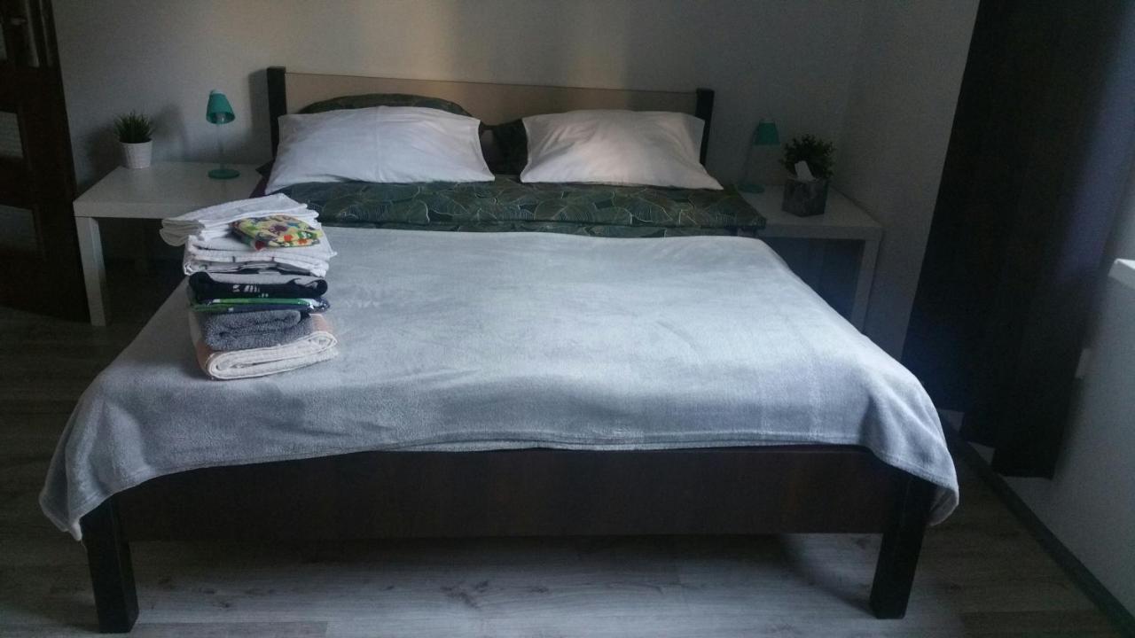 Zacisze Starowki Apartment Torun Bagian luar foto