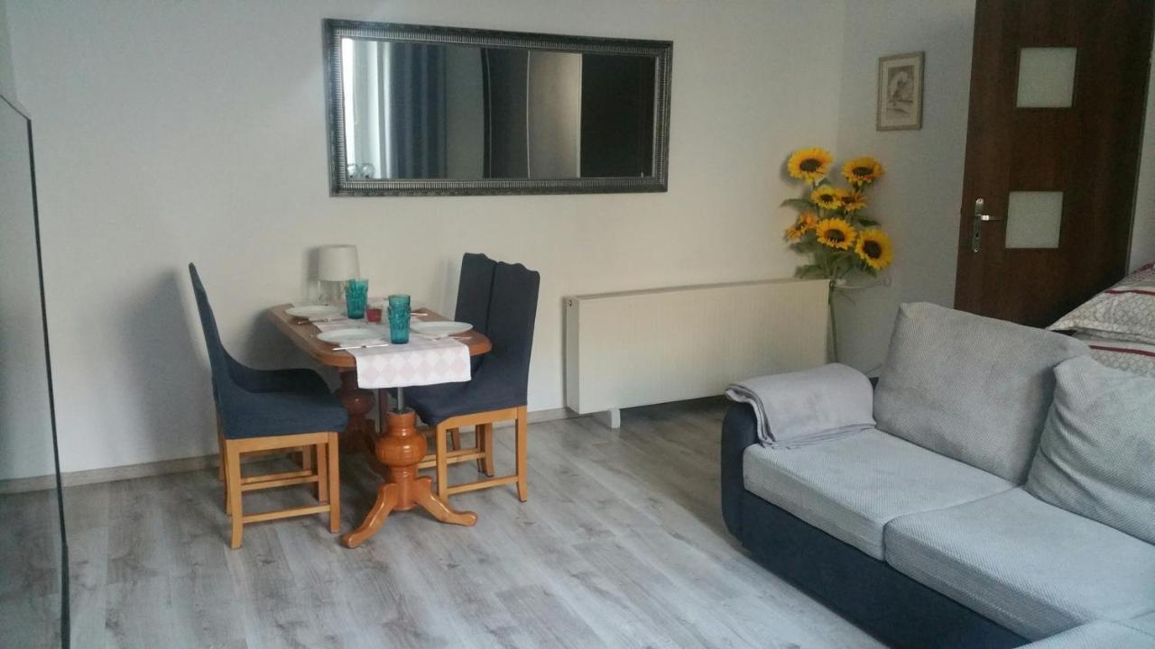 Zacisze Starowki Apartment Torun Bagian luar foto