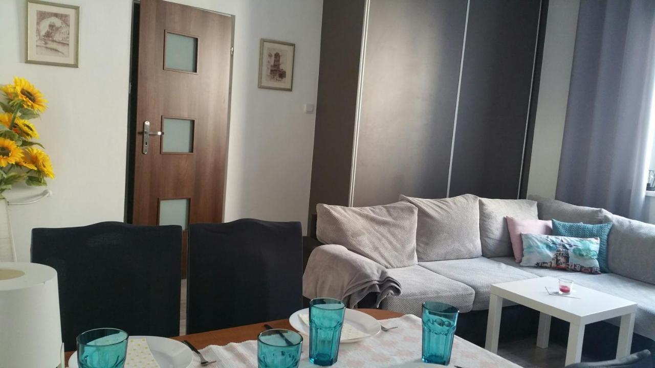 Zacisze Starowki Apartment Torun Bagian luar foto
