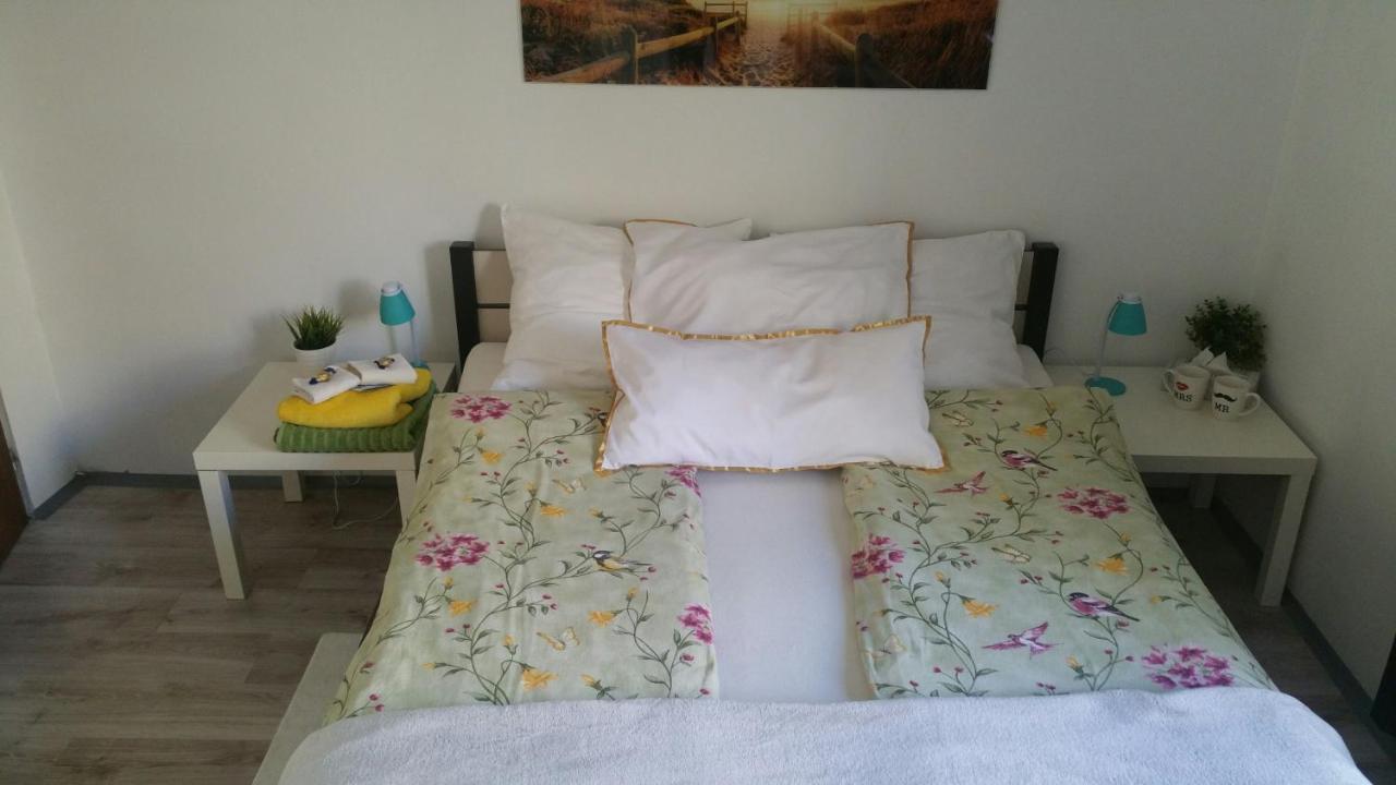 Zacisze Starowki Apartment Torun Bagian luar foto
